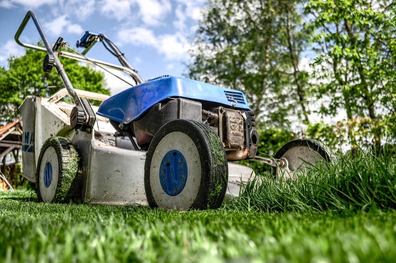Fabled Yard Inspirations