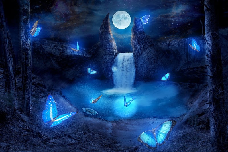 Magical Creations